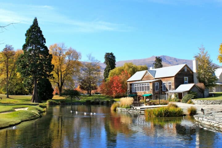 nz millbrook autumn 2