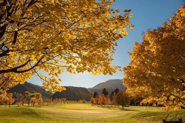 nz millbrook autumn