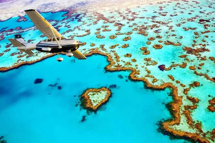 great barrier reef cruise australia